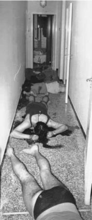 Image description